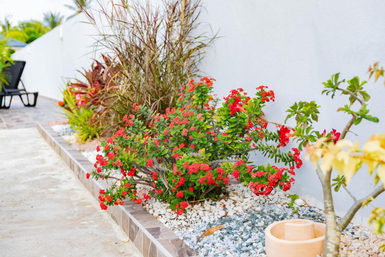 Promo ! Les Paisibles Villas C & G Richeplaine 외부 사진